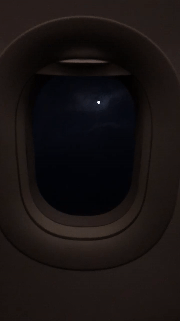 eve-dont-leave:  