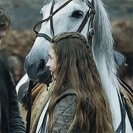 lyannas:“Lyanna might have carried a sword, if my lord father had allowed it. You remind me of