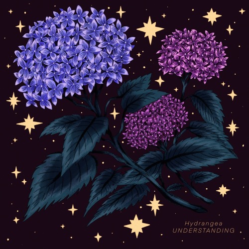 “hydrangeas” by Prinsomniaon INPRNT