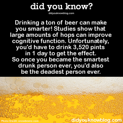 did-you-kno:  Drinking a ton of beer can make you smarter! Studies show that large amounts of hops can improve cognitive function. Unfortunately, you’d have to drink 3,520 pints in 1 day to get the effect. So once you became the smartest drunk person