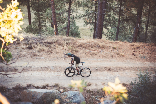 mattlingo:  2015 Leader Bikes Kagero