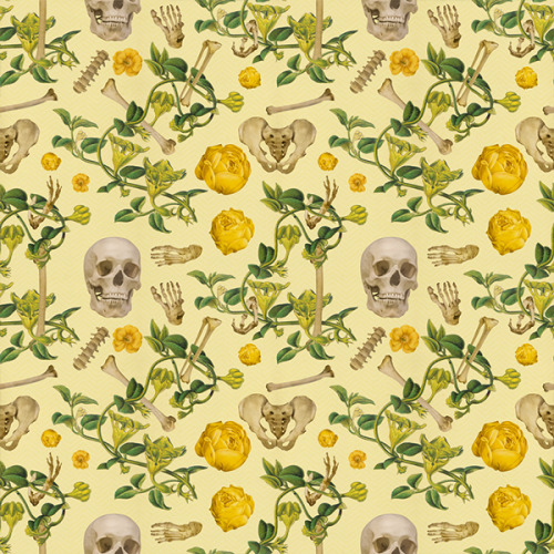 obsessedwithskulls:  Cool pattern design by Alpha Tone.http://www.alpha-tone.com/