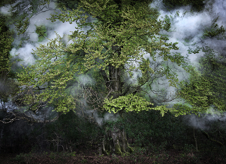 davidesky2:  by Ellie Davies, via Beautiful/Decay.