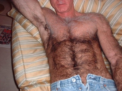 Very hairy silver chest