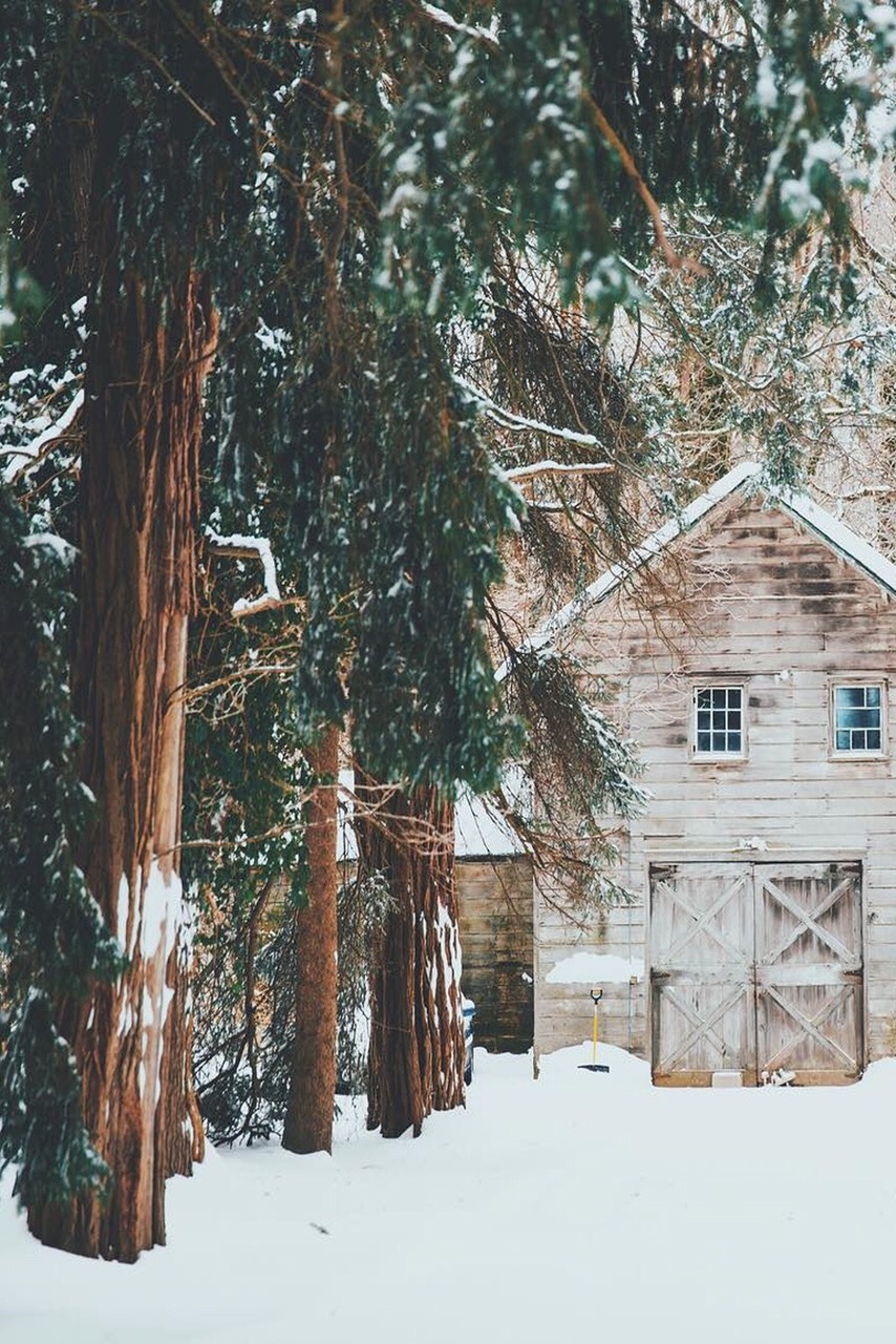 oldfarmhouse:http://pin.it/jVTGdsF