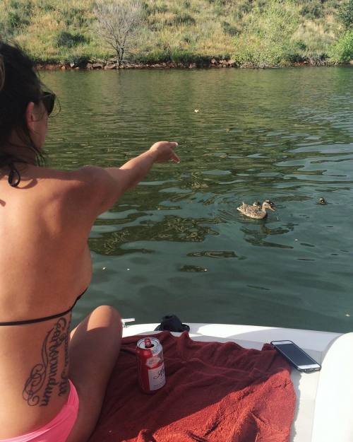 Little duckies that swam up to the boat were so freakin cute! My little squishes&hellip; I wante