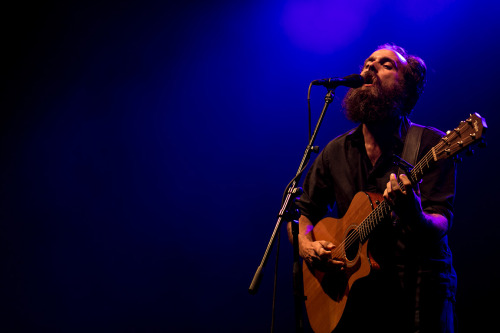 iron and wine