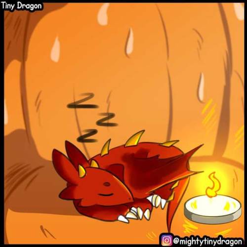 dovewithscales:  dzamie:  mightytinydragon: Tiny loves his new tiny home  Follow @mightytinydragon to join Tiny on his adventures   @dovewithscales @gayrabbitfarm4 Behold, a cute dragon.  -follows-