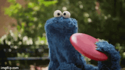 sesamestreet:  This is why you can’t play frisbee with Cookie Monster. 
