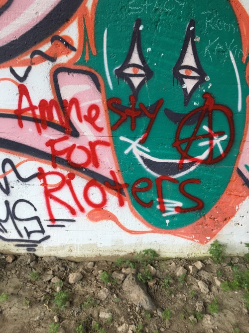 ‘Amnesty for Rioters / Fuck 12′