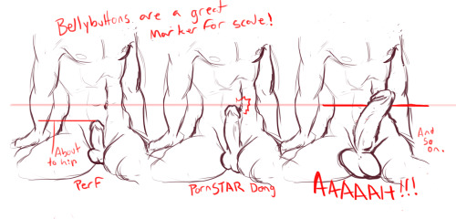 manisoke:  A friend asked me if I had any pointers on drawing dingle dongles and I may or may not have gotten totally carried away and drew out a bunch of stuff, heheh.Figured Id post it just in case any nsfw artists found it helpful at all~ Also if I