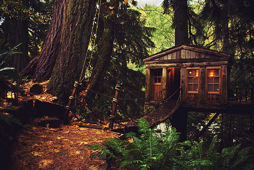 elf-of-lorien:  jamais-deux-sans-trois:  Deep in the forest  my heart 