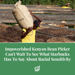 theonion: NYERI, KENYA—Reacting to news