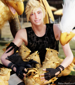 baka-chanlove:  Chocobos~