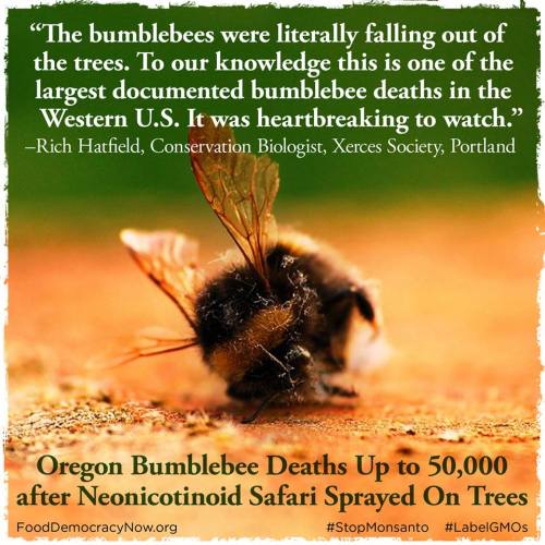 questionall:  As the estimate of dead bees rose to 50,000, the Oregon Department of Agriculture conf