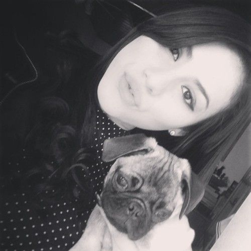 ilovepugs4ever:  Follow Dog Quotes.