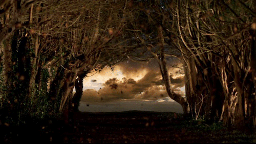 octoberinflorence:The Death of King Henry VIIIAll kings die, Henry. Kings, Queens...they all meet th