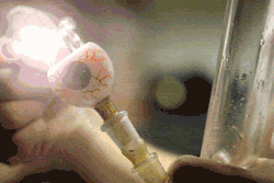 https://64.media.tumblr.com/4de7cf7876bc5332cfd24b62488ae3b6/tumblr_mqzslciZo01sdf8k3o1_500.gif
