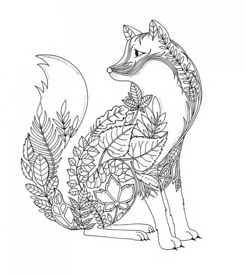 jedavu:  Colouring Books for AdultsInspired by Scotland’s Brodick Castle Gardens, British illustrator and artist Johanna Basford creates incredible coloring books for adults… 