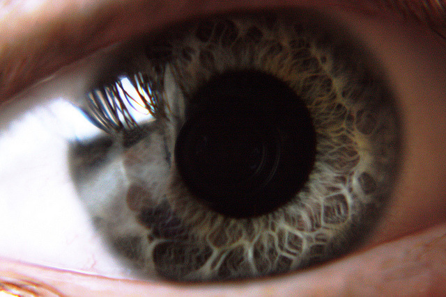 brutalgeneration:  your own lens. by alexis mire on Flickr. 