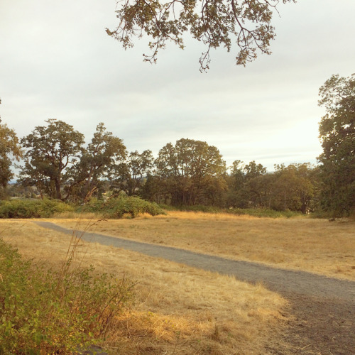 Christmas hill wanders #christmashill #eveningwalks #beautifulbc #pretty #landscapes #beautiful  (at