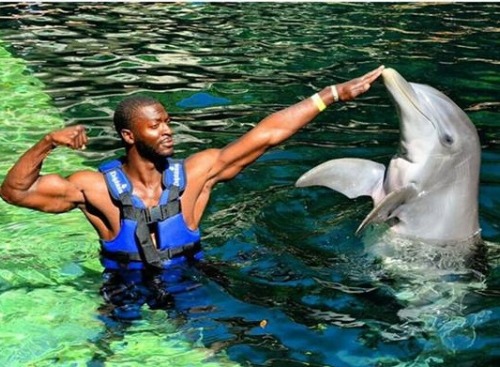 honorat:Aldis Hodge and a dolphin. 