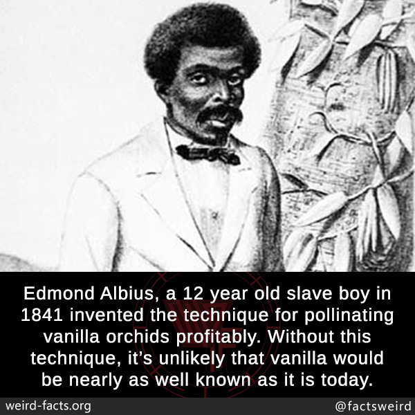 mindblowingfactz:  Edmond Albius, a 12 year old slave boy in 1841 invented the technique