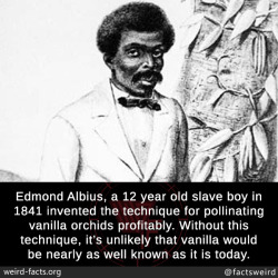 mindblowingfactz:  Edmond Albius, a 12 year old slave boy in 1841 invented the technique for pollinating vanilla orchids profitably. Without this technique, it’s unlikely that vanilla would be nearly as well known as it is today.