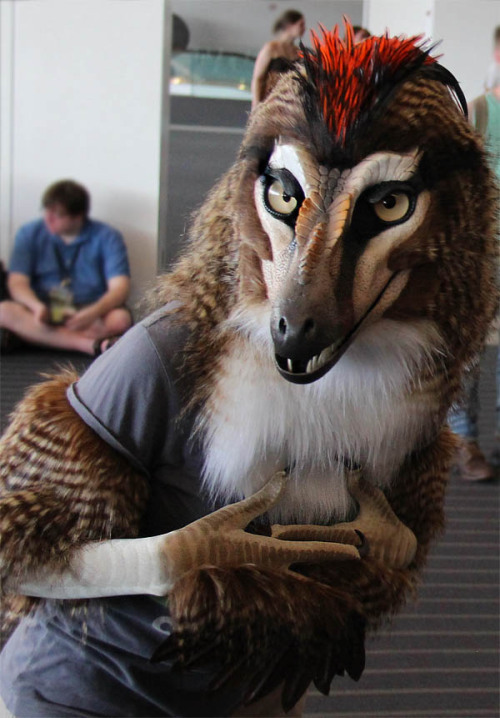 nambroth: Last weekend I attended Anthrocon and it was pretty darn awesome. While I don’t cons