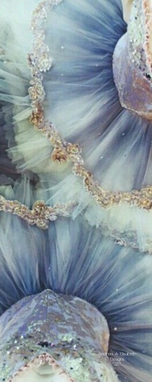 Ballet Tutus ⚜ VoyageVisuel ⚜