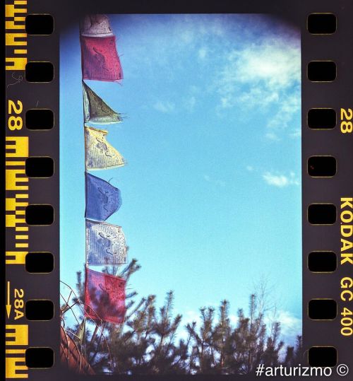 Blue sky #analog photography #filmphotography #filmnotdead #istillshootfilm #kodakultramax400 #kodak