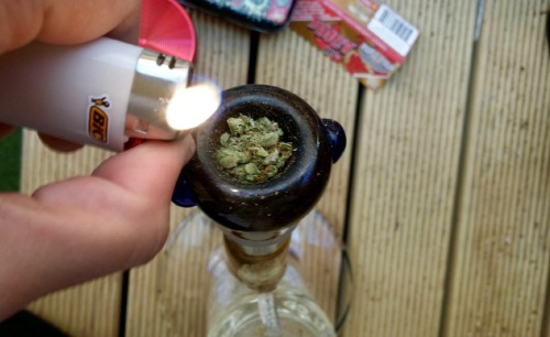 the-captainchronic:  stoner POV adult photos