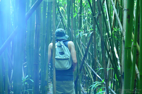 Exploring. (Oahu 2014)