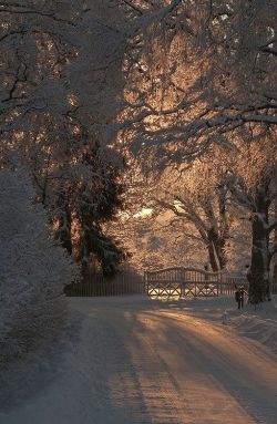 bluepueblo:  Snow Gate, Norway photo via