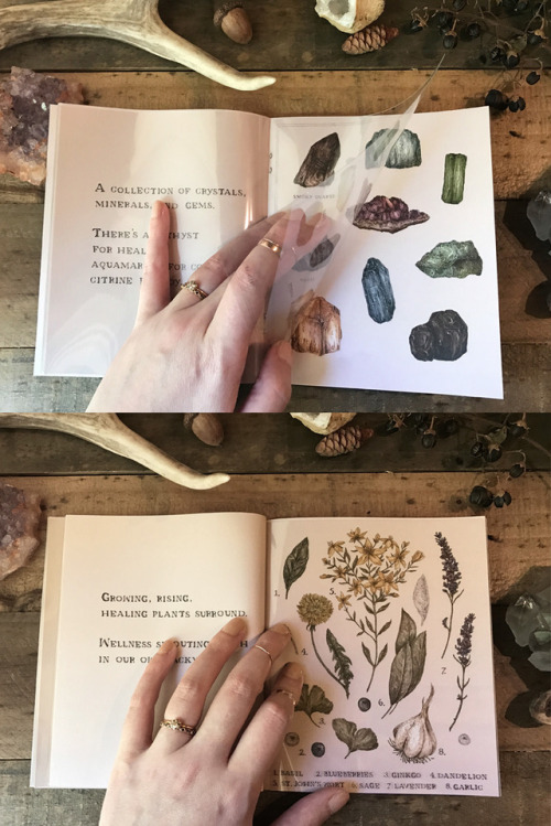 Specimens, Collections and Curiosities II is here! This zine is a collection of words and illustrati
