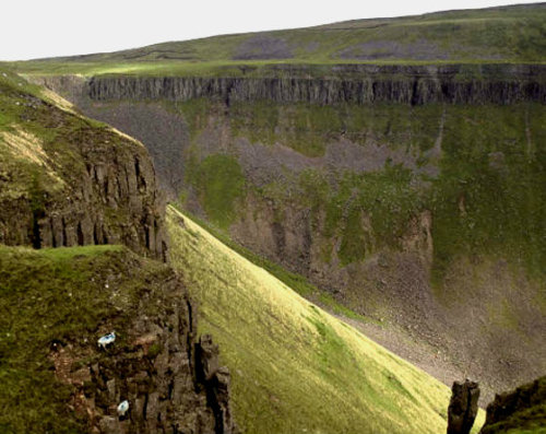 pagewoman:Nimble Sheep, High Cup Nick, Pennine Way, Englandby iat.s.a