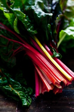 thevegetablemarket:  (via swiss chard | Harvest