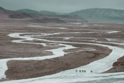 fivegaited: equestrianchicpoverty:  countryff4171:  house-of-gnar:  Kazakh eagle hunters | Mongolia The Kazakhs are the descendants of Turkic, Mongolic and Indo-Iranian tribes and Huns that populated the territory between Siberia and the Black Sea. They