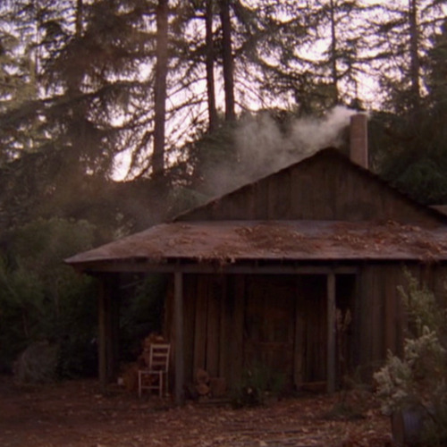 withoneeye:I’ll advise you to keep your eyes on the woods. The woods are wondrous here…
