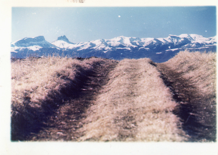 mcrdeviantclub:   Photography by Andrew Pershin (deviantART) Do not remove credit.