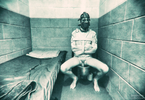 Subhuman Sex Object
