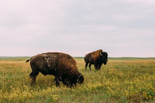 Badlands, South Dakota.