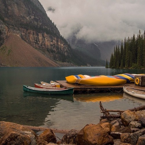 vhord:  delta-breezes:Chloe A Hibbert  strictly nature