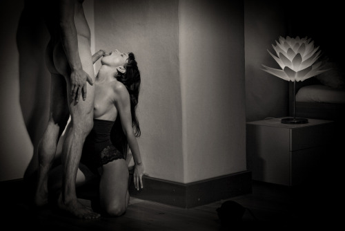 guidetrainlove:  Cornered
