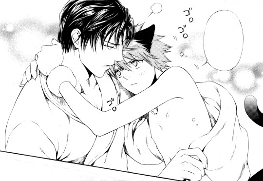 commandermardukas:    Cute cuddling cat  