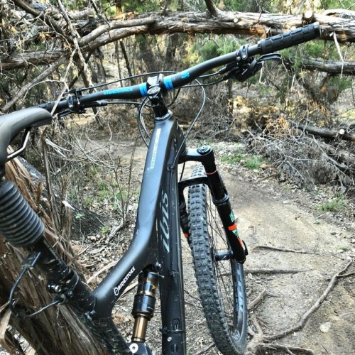 ridestoke: Watch yer head!