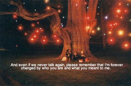 the-beauty-of-words-blog:  This post has been featured on a 1000Notes.com blog!