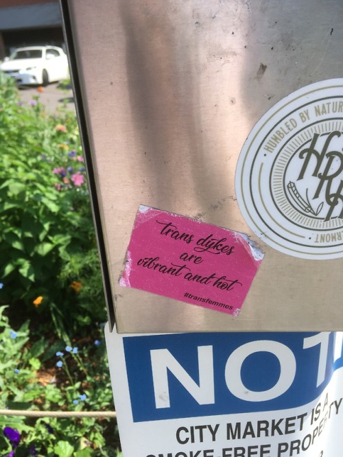queergraffiti: found in Burlington, Vermont, USA sticker reads: “trans dykes are vibrant and h