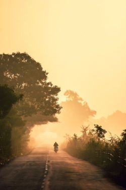 visuallyillusive:  Early Morning Rider [Via