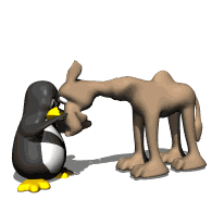 princeabassiofnigeria:  Free penguin petting camel animation 